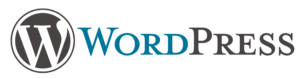 Top Website Development 1