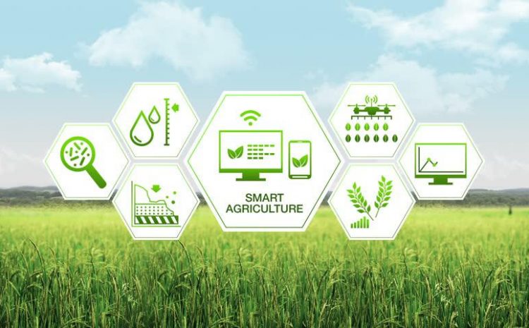  Agriculture Automation