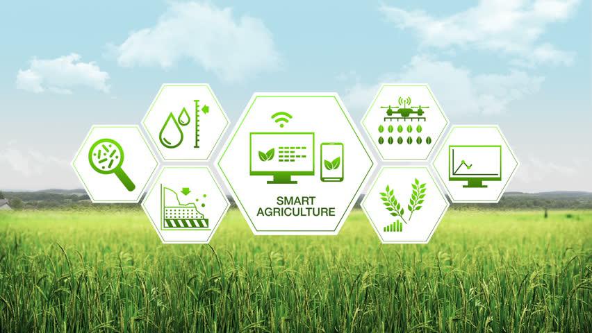 Agriculture Automation